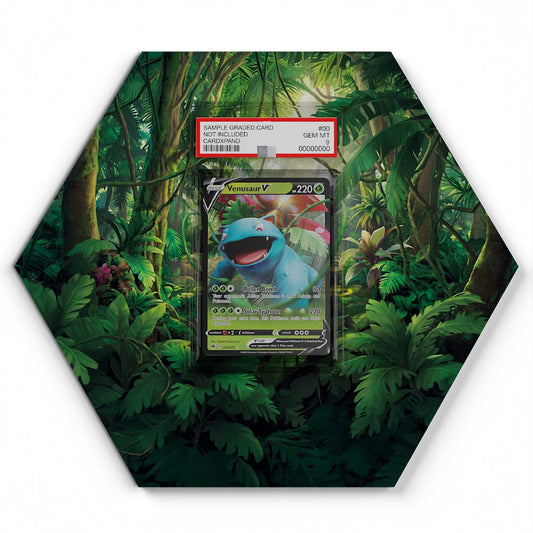105 Branawarz - Extended Artwork Pokemon Card Display
