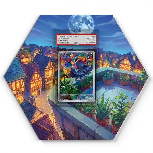 020/019 Zorua - Extended Artwork Pokemon Card Display