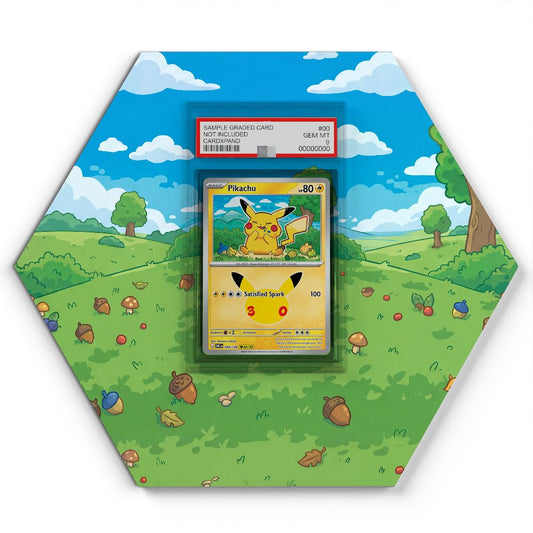 050/128 Pikachu - Extended Artwork Pokemon Card Display