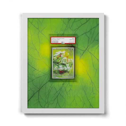 172 Raupy - Extended Artwork Framed Pokemon Card Display