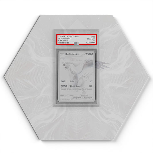 173/086 Reshiram EX - Extended Artwork Pokemon Card Display