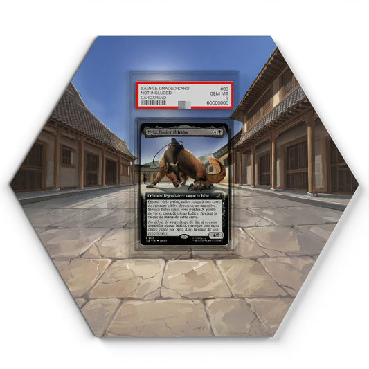 105 Branawarz - Extended Artwork Pokemon Card Display