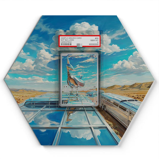 209-191-skarmory large graded display
