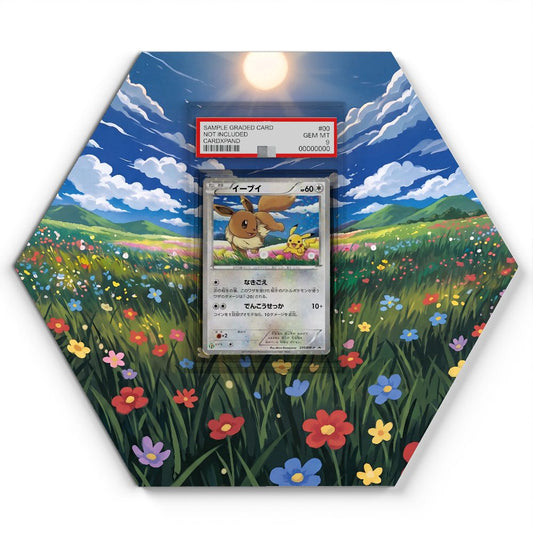 105 Branawarz - Extended Artwork Pokemon Card Display
