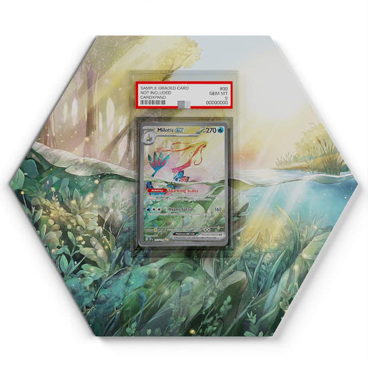 237-191-milotic-ex large graded display
