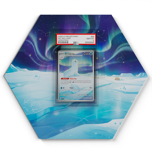 097-094-dewgong large graded display