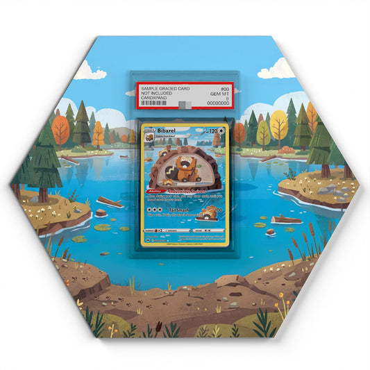 GG25/GG70 Bidifas - Extended Artwork Pokemon Card Display