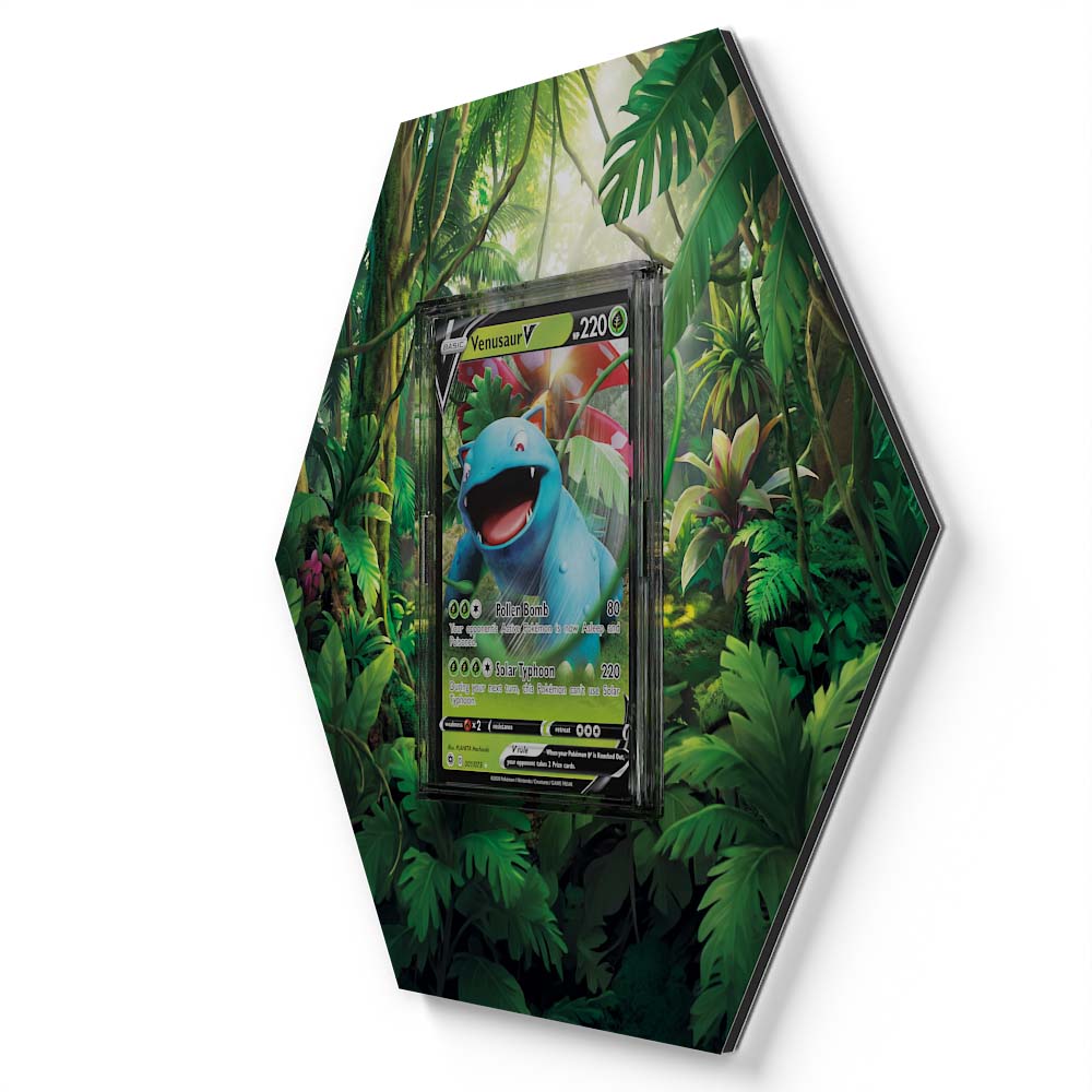105 Branawarz - Extended Artwork Pokemon Card Display
