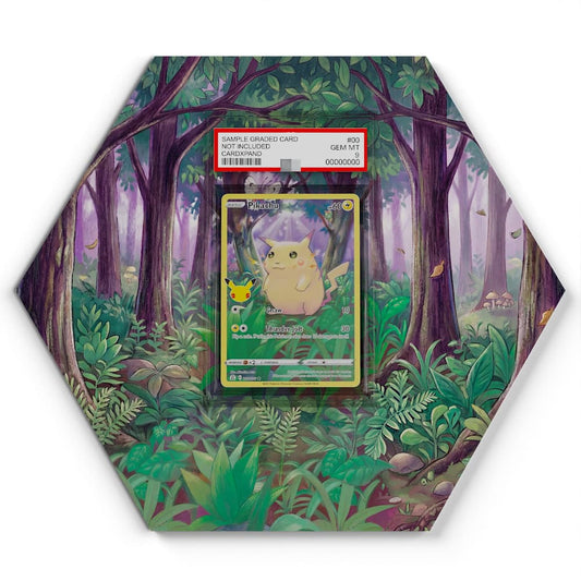 005/025 Pikachu - Extended Artwork Pokemon Card Display