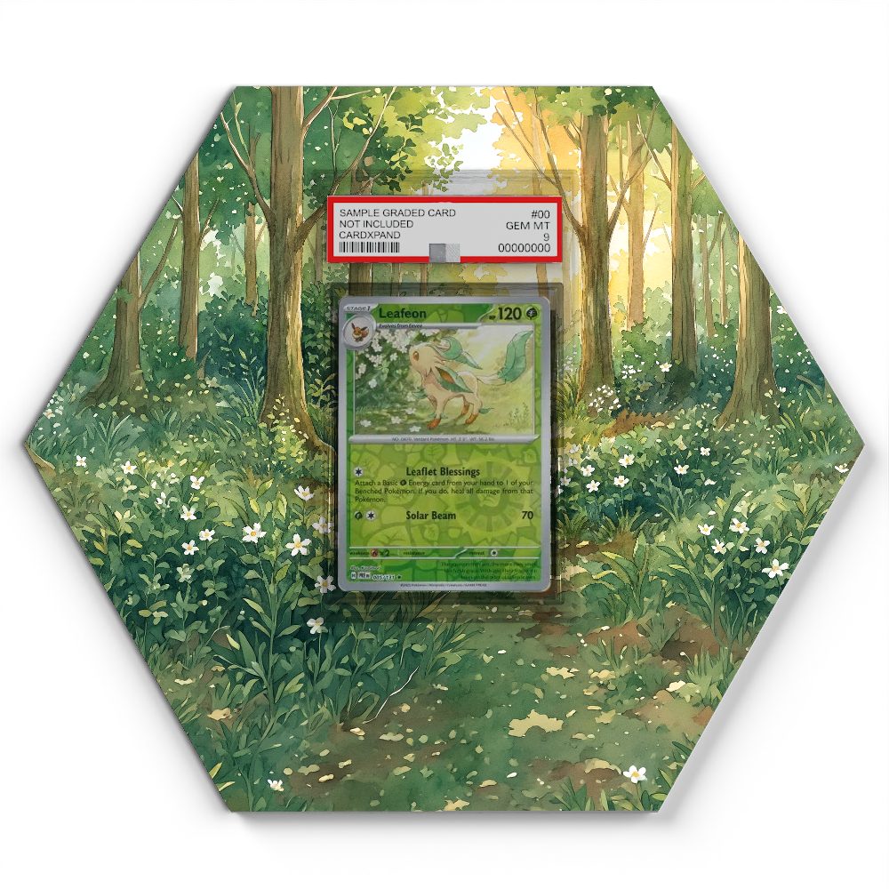 105 Branawarz - Extended Artwork Pokemon Card Display