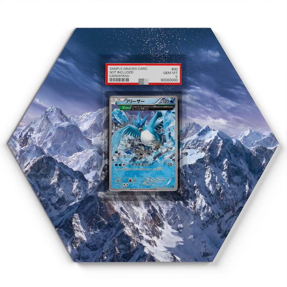 105 Branawarz - Extended Artwork Pokemon Card Display