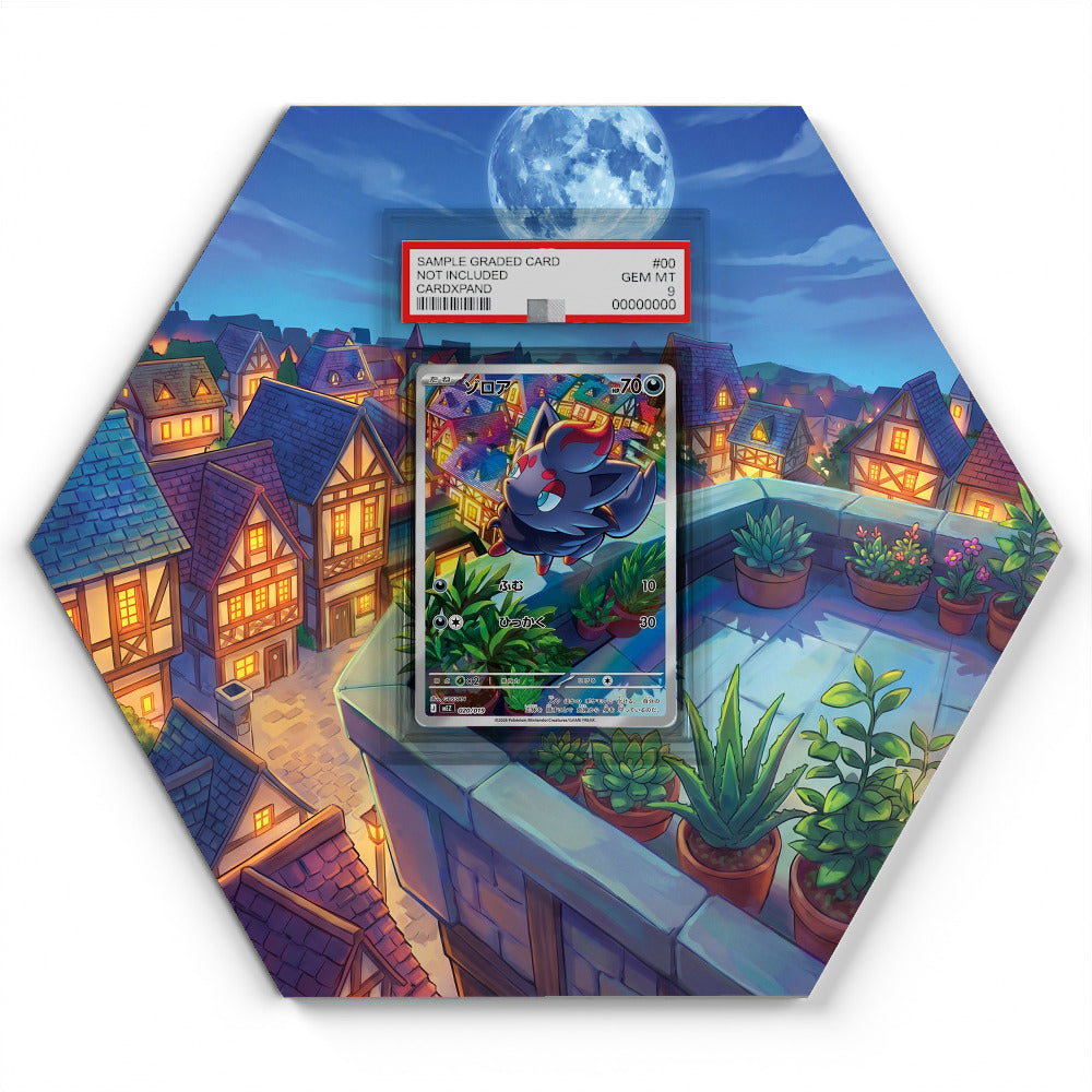 020/019 Zorua - Extended Artwork Pokemon Card Display