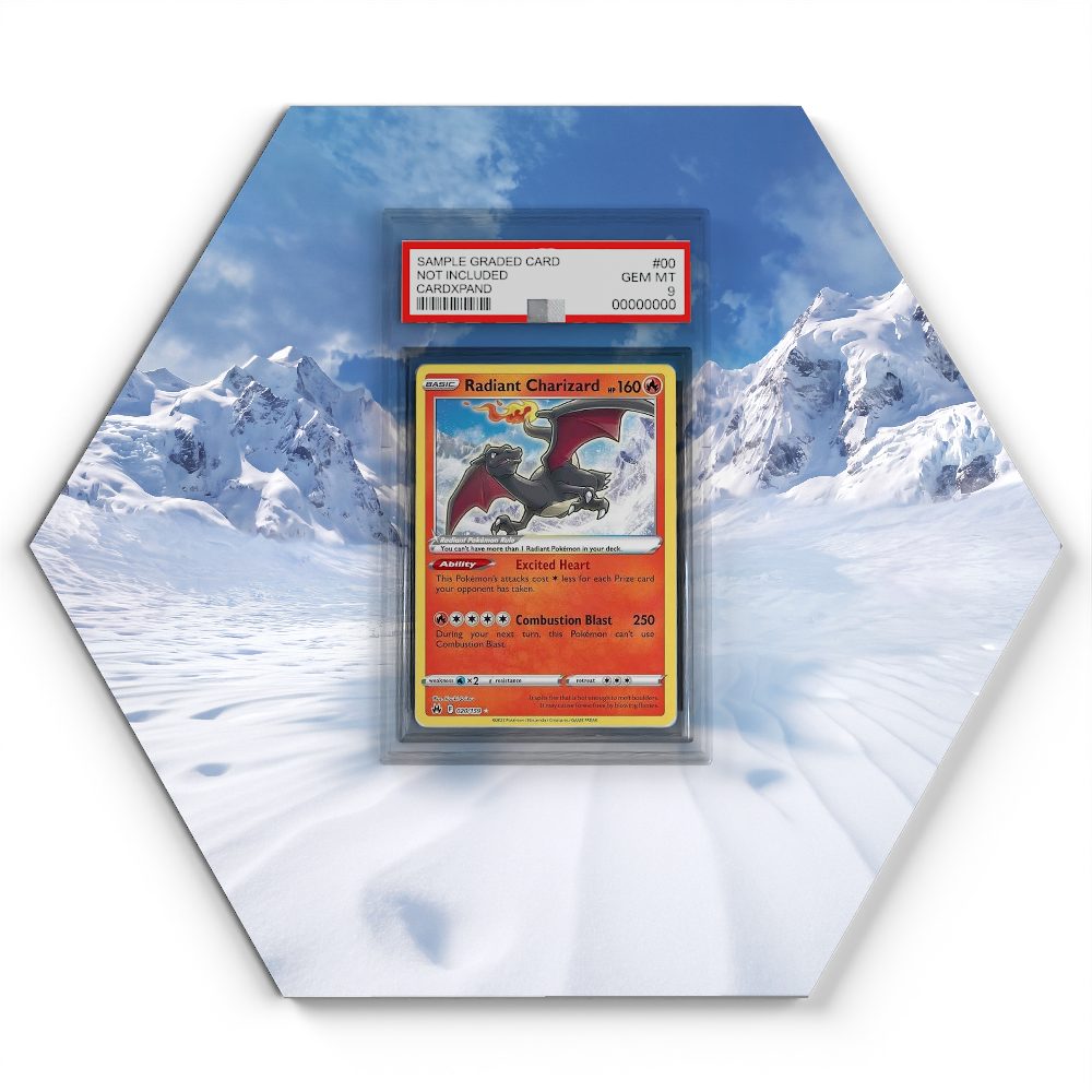 105 Branawarz - Extended Artwork Pokemon Card Display