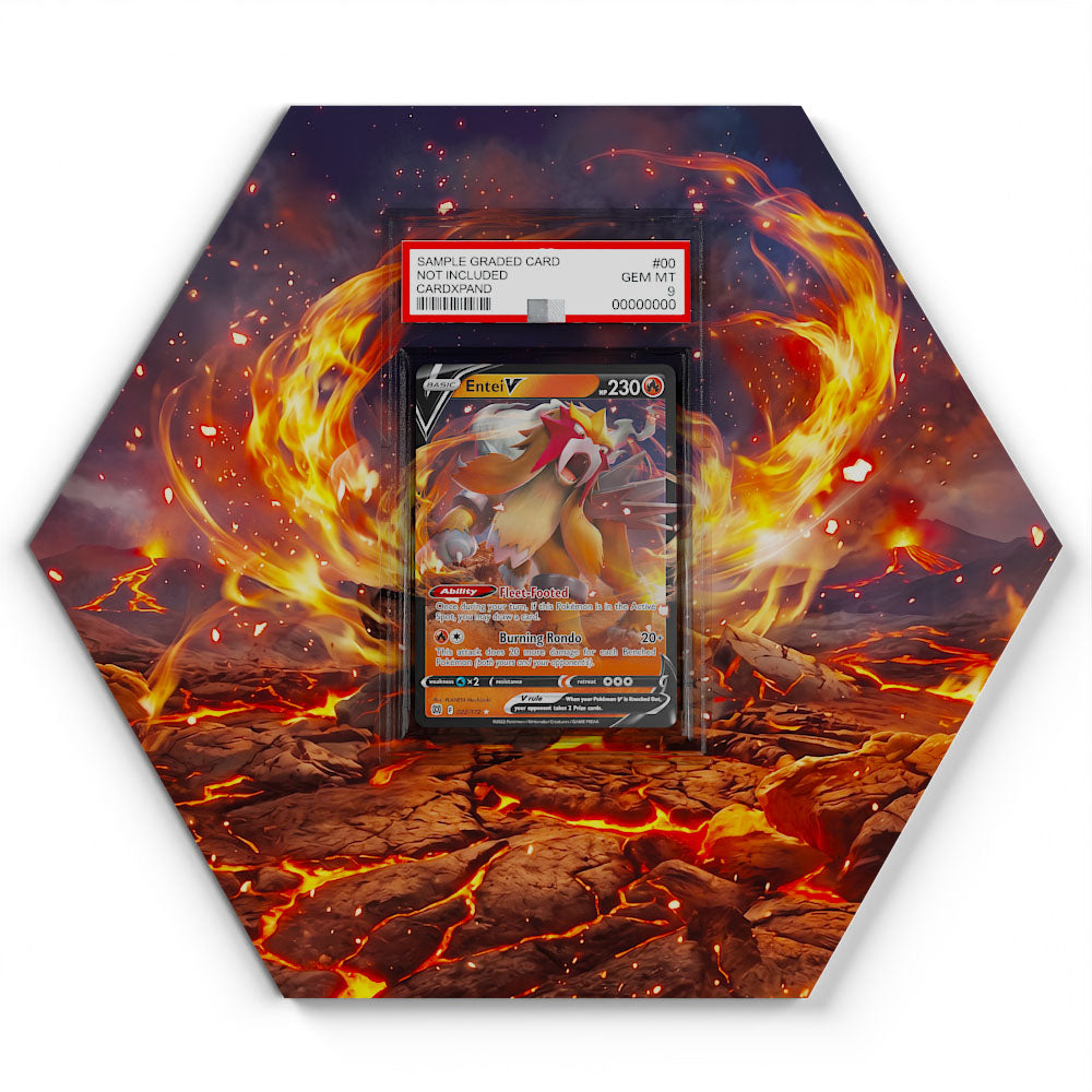 022/172 Entei V - Extended Artwork Pokemon Card Display