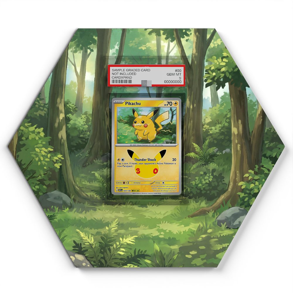 105 Branawarz - Extended Artwork Pokemon Card Display