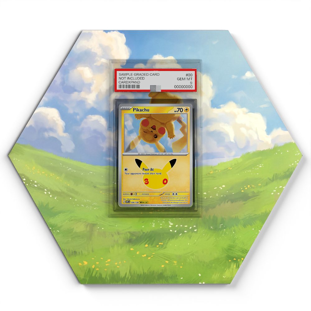 105 Branawarz - Extended Artwork Pokemon Card Display