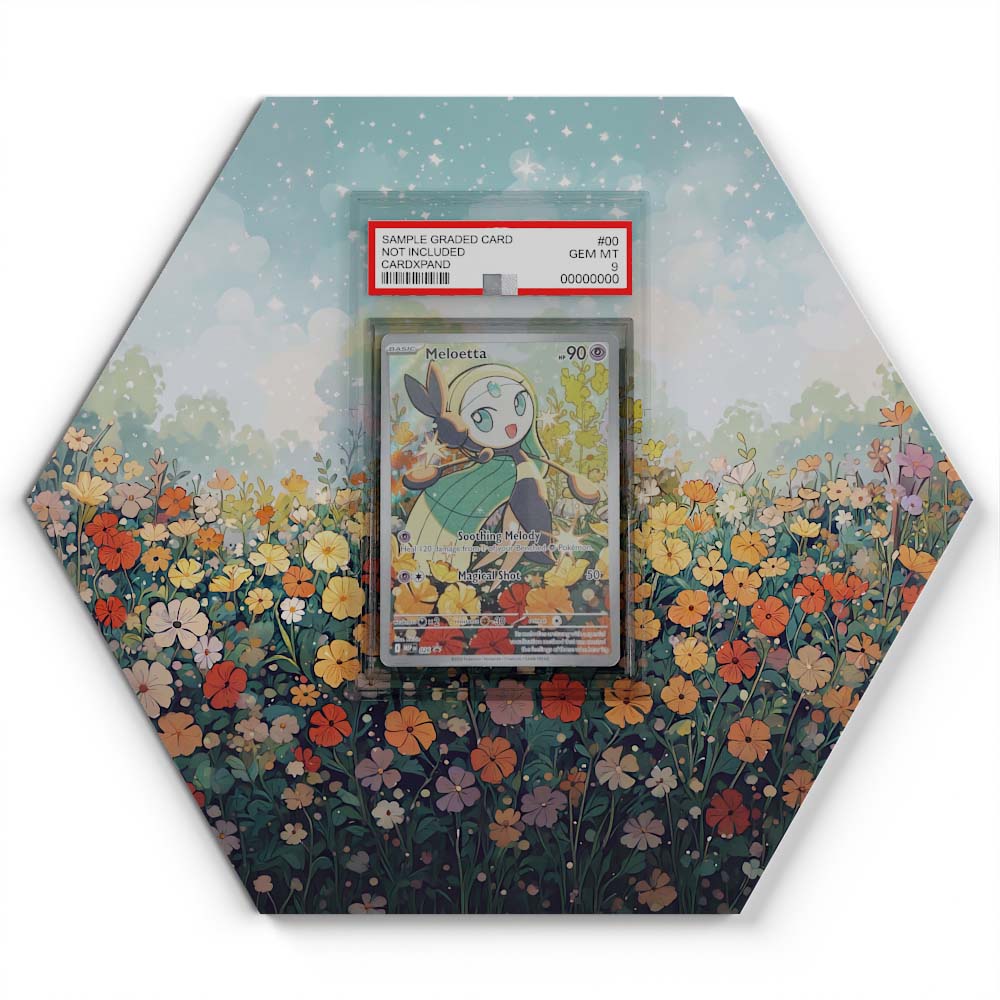 105 Branawarz - Extended Artwork Pokemon Card Display