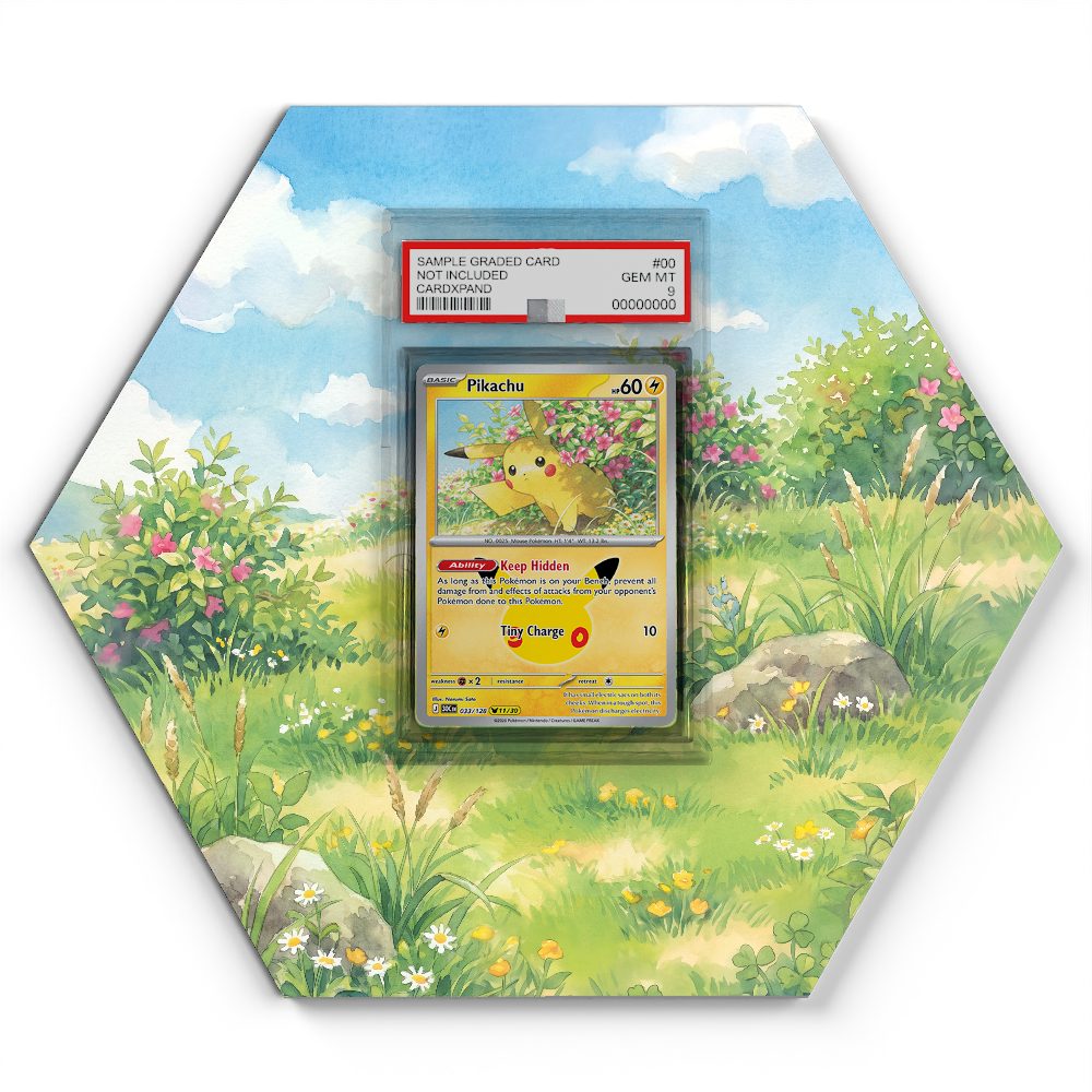 105 Branawarz - Extended Artwork Pokemon Card Display