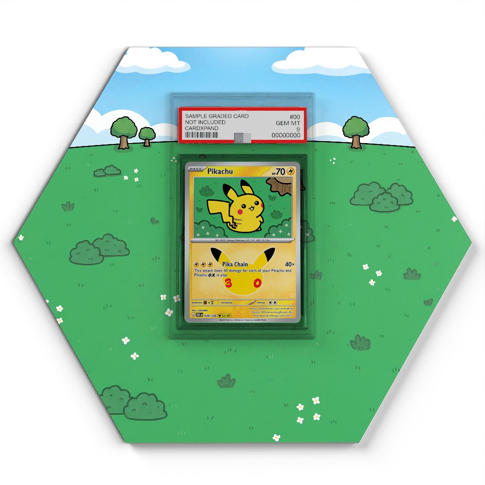 105 Branawarz - Extended Artwork Pokemon Card Display