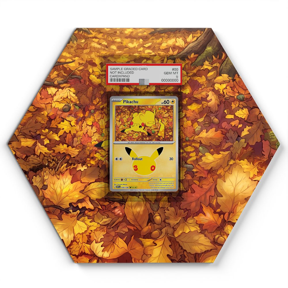 105 Branawarz - Extended Artwork Pokemon Card Display