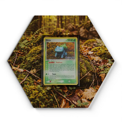 105 Branawarz - Extended Artwork Pokemon Card Display