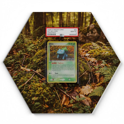 105 Branawarz - Extended Artwork Pokemon Card Display