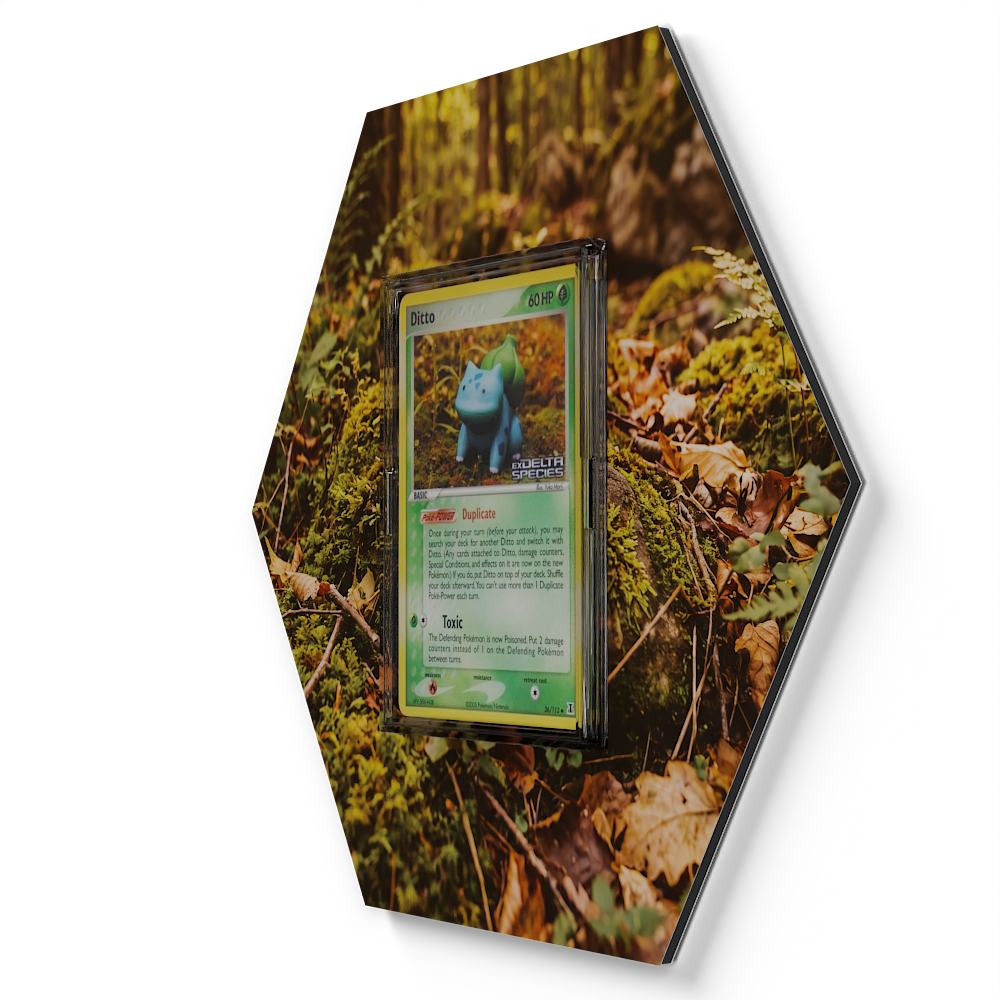 105 Branawarz - Extended Artwork Pokemon Card Display