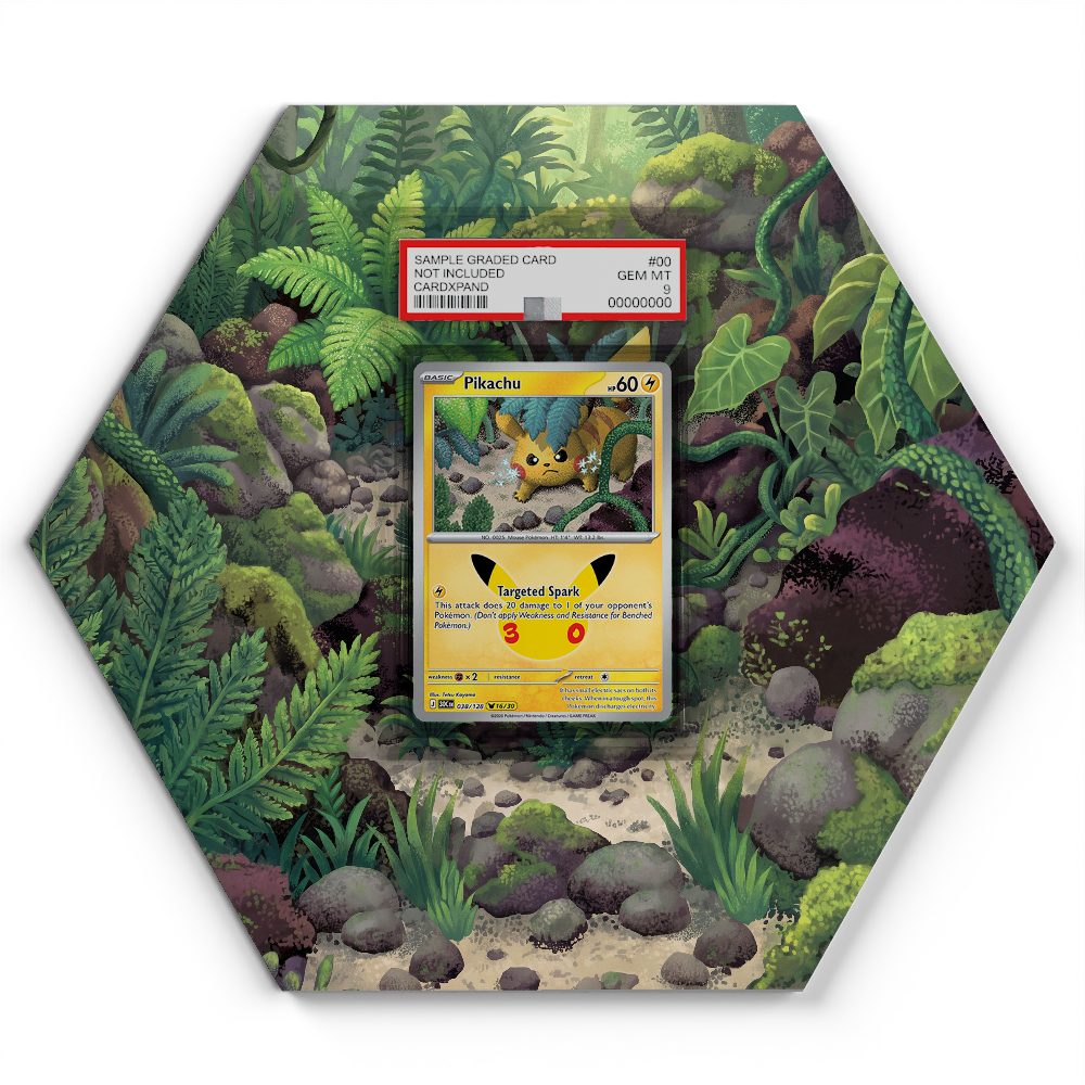 105 Branawarz - Extended Artwork Pokemon Card Display