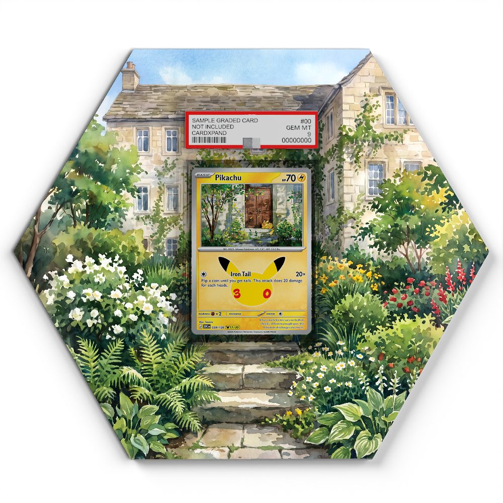 105 Branawarz - Extended Artwork Pokemon Card Display