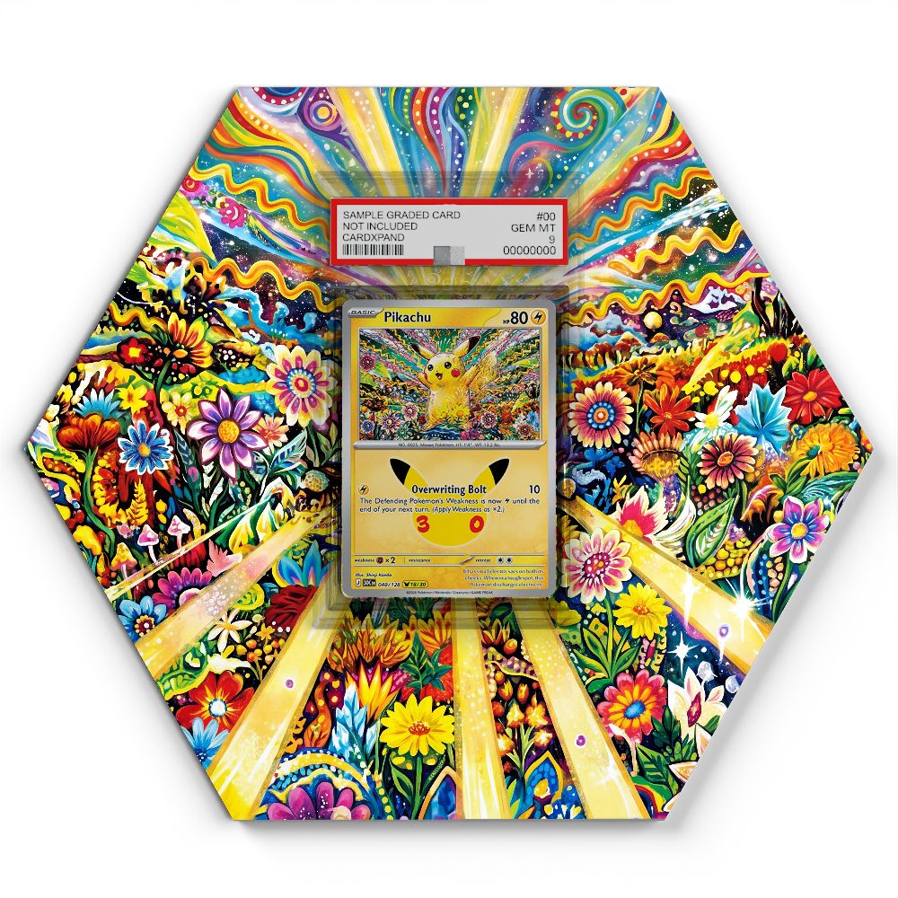 105 Branawarz - Extended Artwork Pokemon Card Display