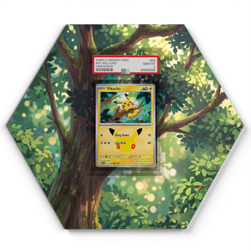 105 Branawarz - Extended Artwork Pokemon Card Display
