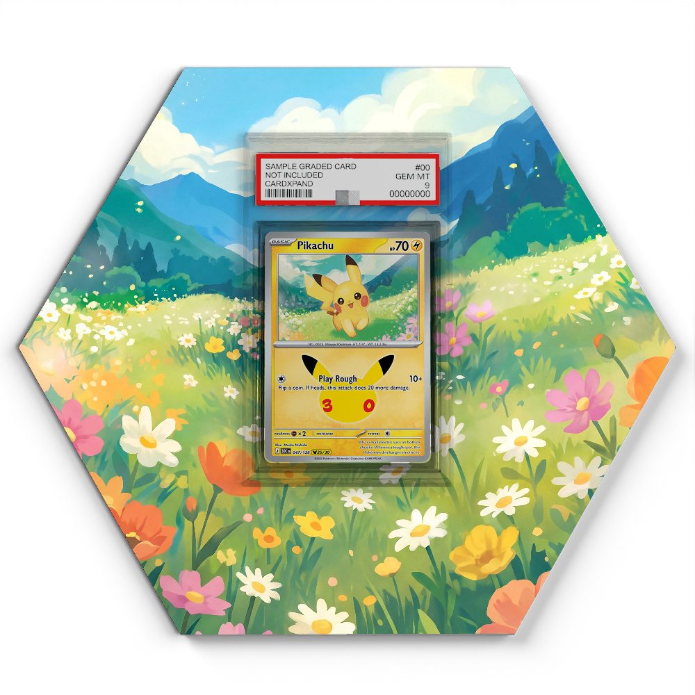105 Branawarz - Extended Artwork Pokemon Card Display