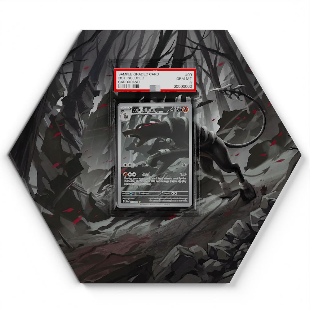 066-164-houndoom large graded display
