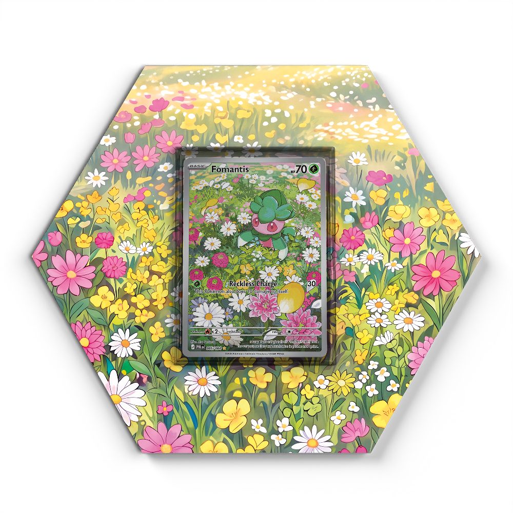 105 Branawarz - Extended Artwork Pokemon Card Display