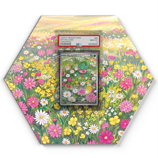 105 Branawarz - Extended Artwork Pokemon Card Display