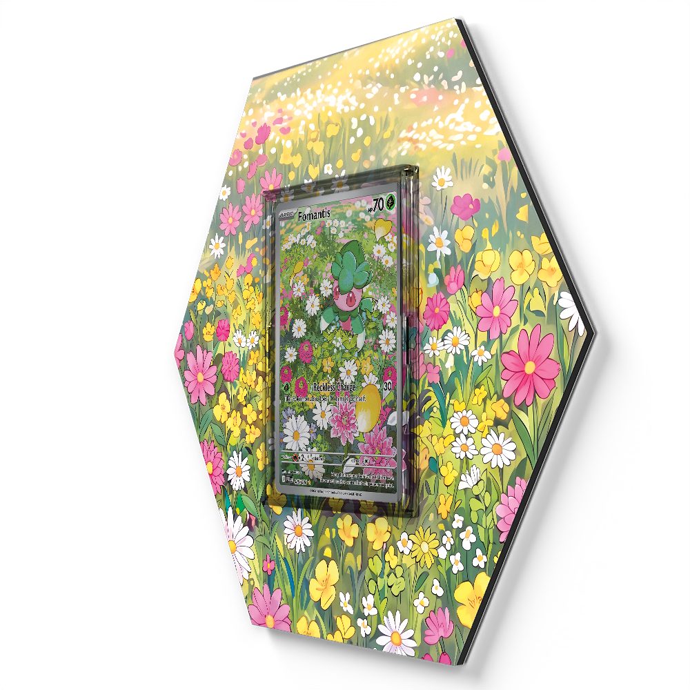 105 Branawarz - Extended Artwork Pokemon Card Display