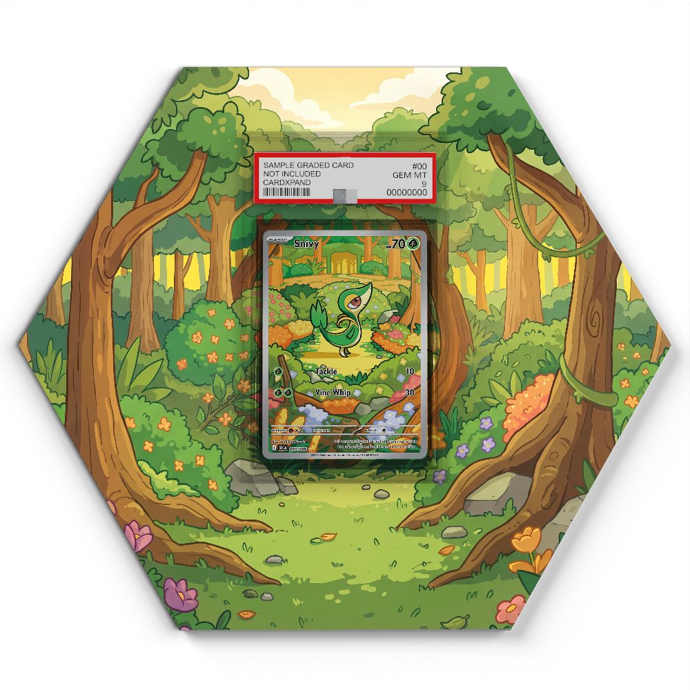 105 Branawarz - Extended Artwork Pokemon Card Display