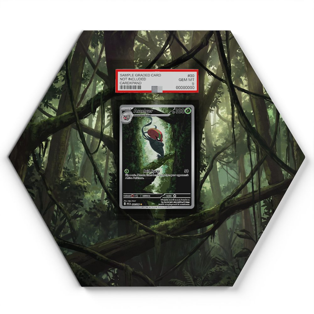 105 Branawarz - Extended Artwork Pokemon Card Display