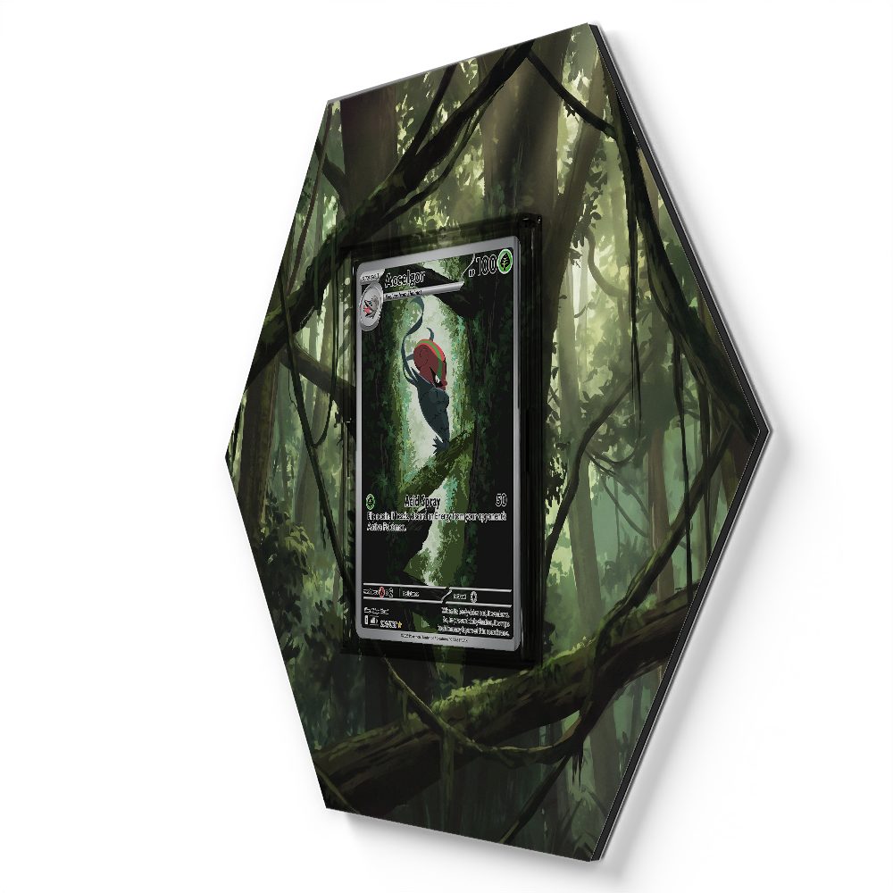 105 Branawarz - Extended Artwork Pokemon Card Display