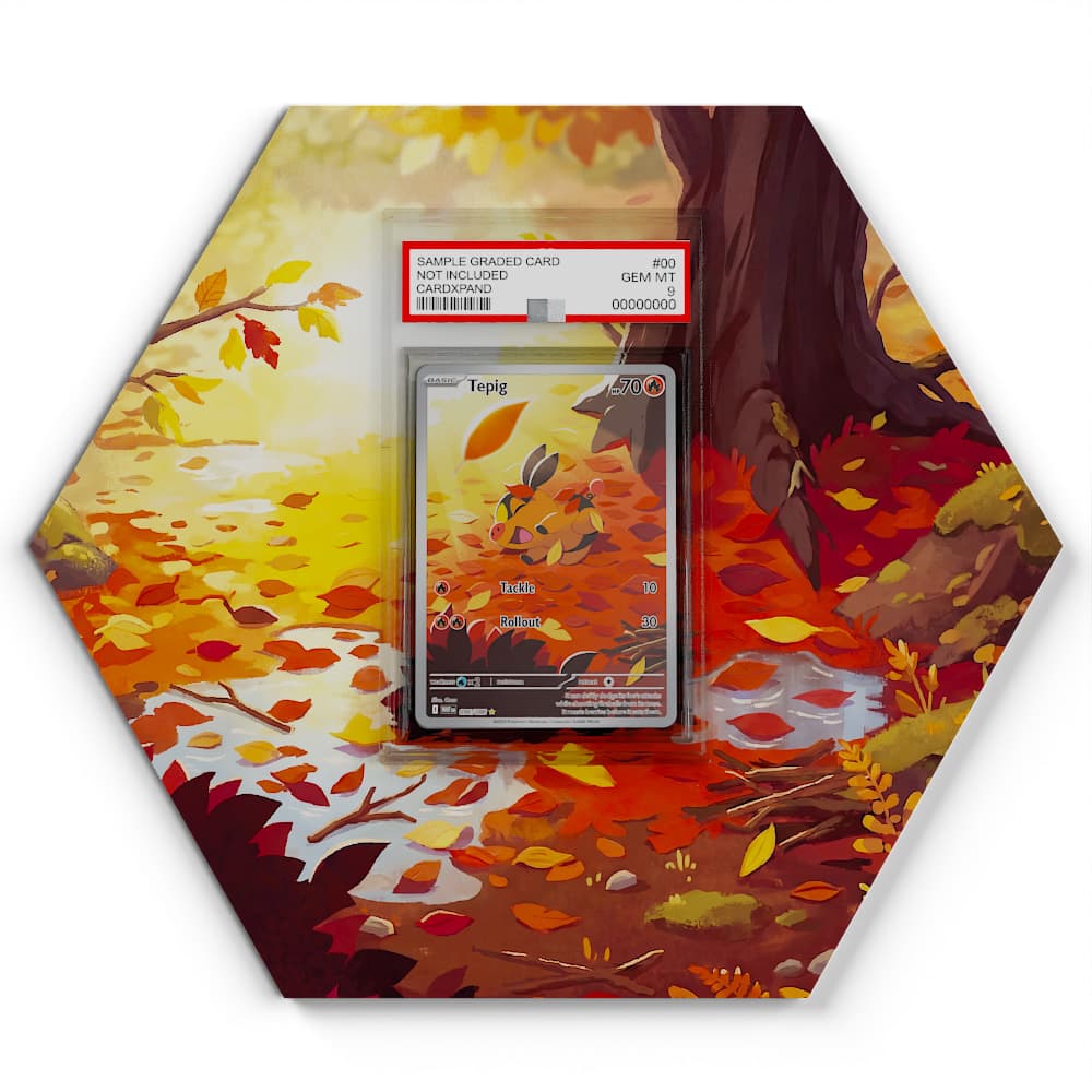 096/086 Floink - Extended Artwork Pokemon Card Display