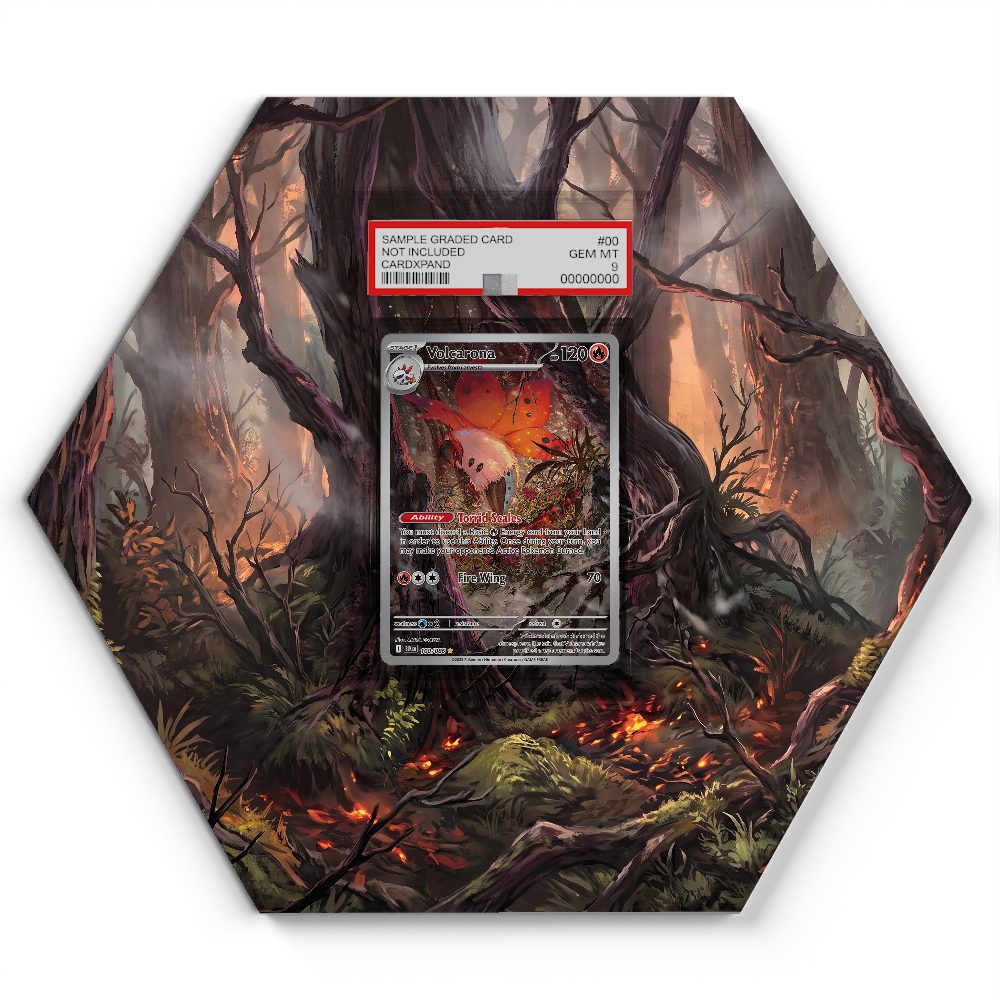 105 Branawarz - Extended Artwork Pokemon Card Display