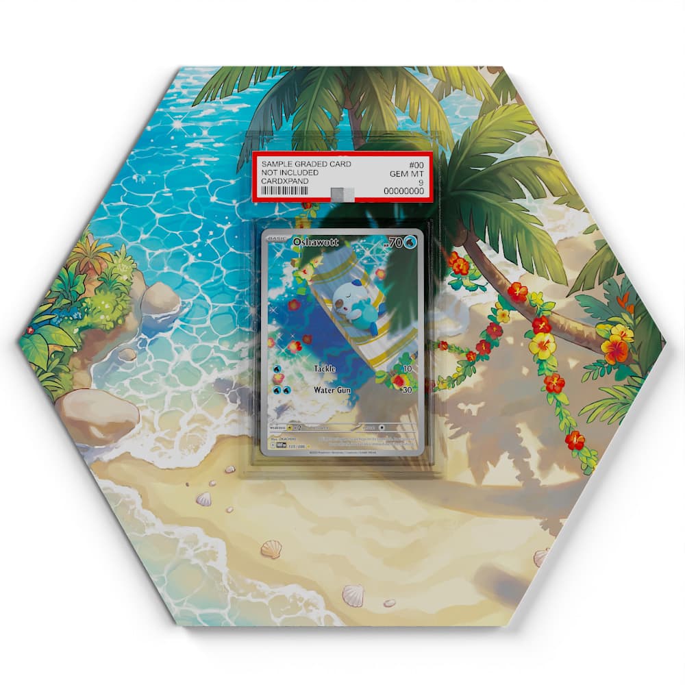 105/086 Ottaro - Extended Artwork Pokemon Card Display