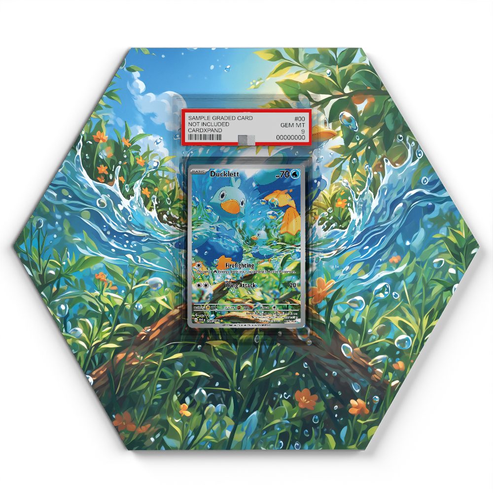 105 Branawarz - Extended Artwork Pokemon Card Display