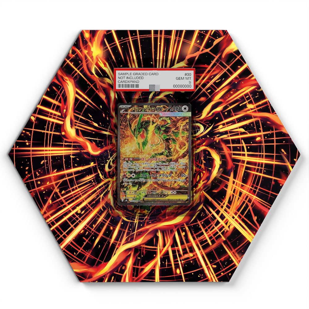 105 Branawarz - Extended Artwork Pokemon Card Display