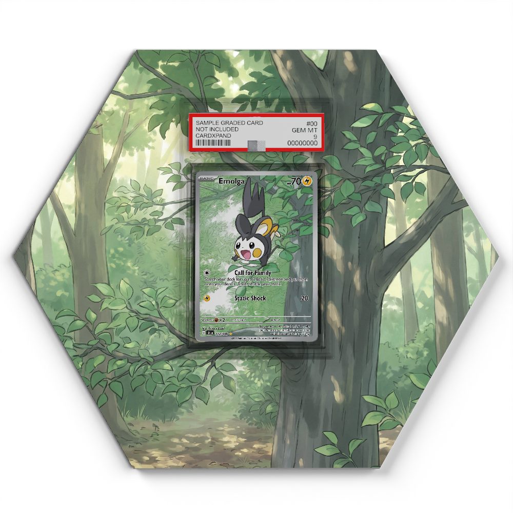 105 Branawarz - Extended Artwork Pokemon Card Display