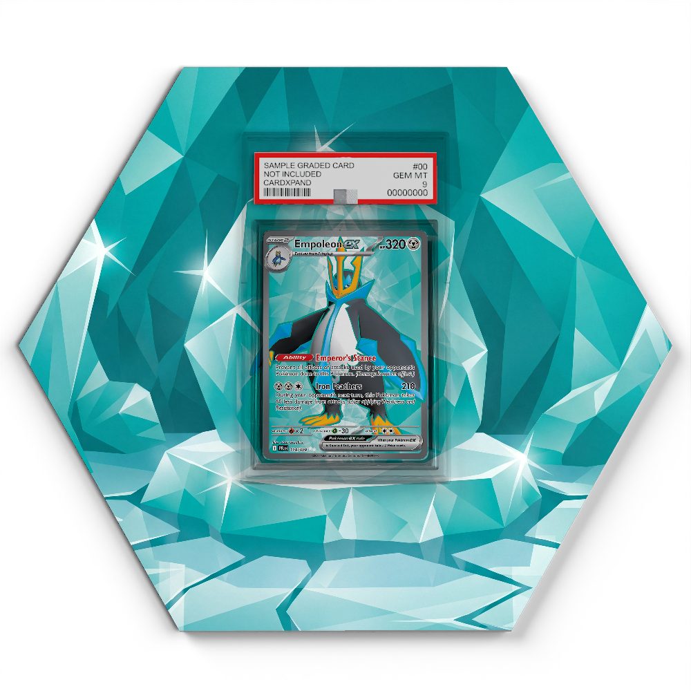 105 Branawarz - Extended Artwork Pokemon Card Display