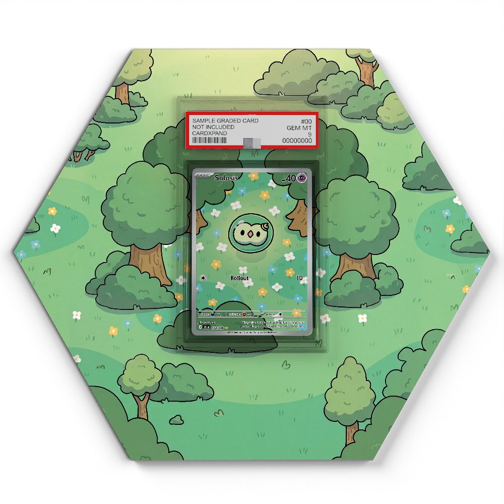 105 Branawarz - Extended Artwork Pokemon Card Display