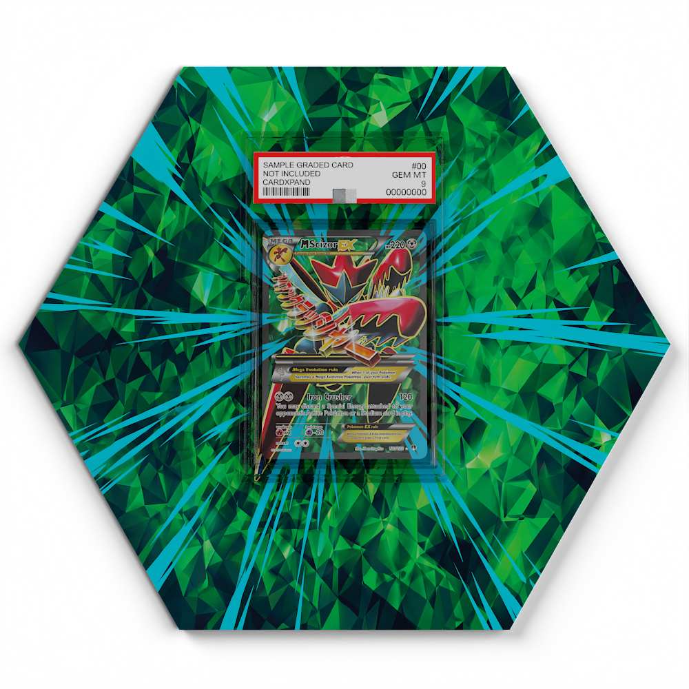 105 Branawarz - Extended Artwork Pokemon Card Display