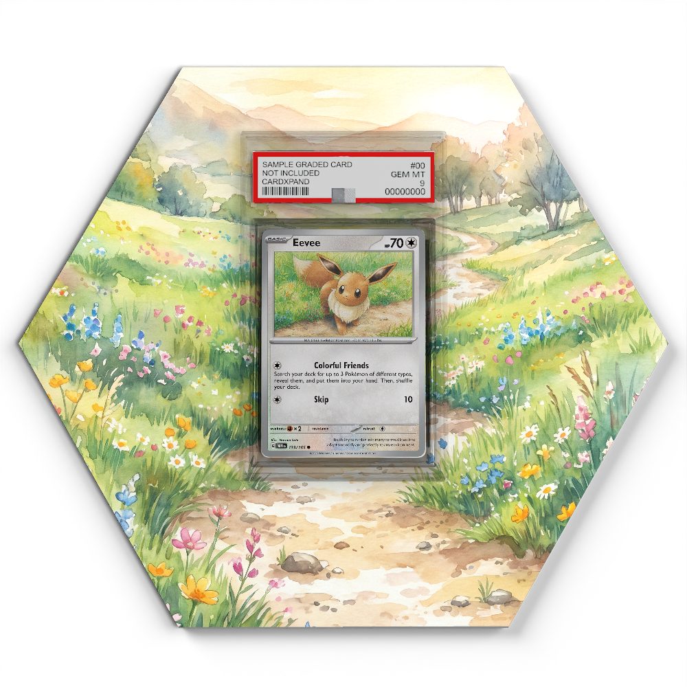 105 Branawarz - Extended Artwork Pokemon Card Display