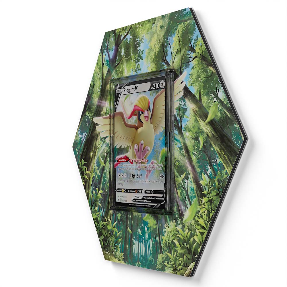 105 Branawarz - Extended Artwork Pokemon Card Display